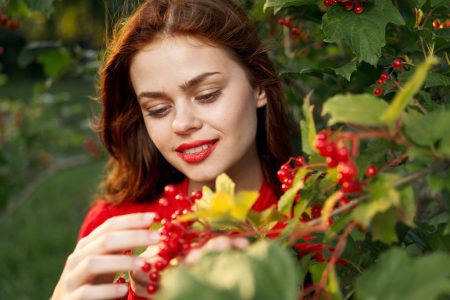 Tout savoir sur la plante lycium barbarum et ses bienfaits