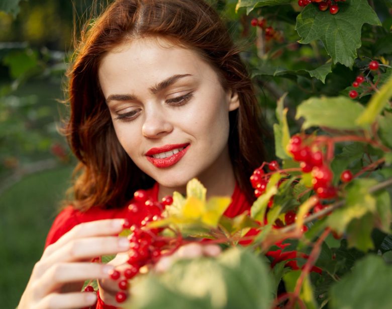 Tout savoir sur la plante lycium barbarum et ses bienfaits