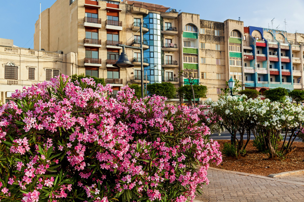 Quartiers à éviter à L'Haÿ-les-Roses