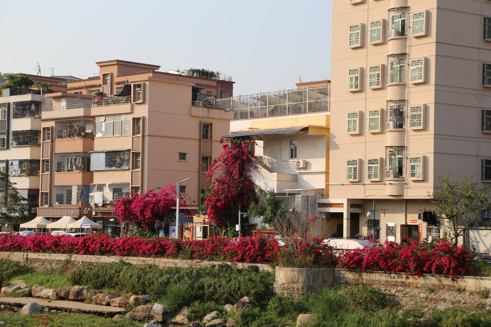 Abords de la Roseraie